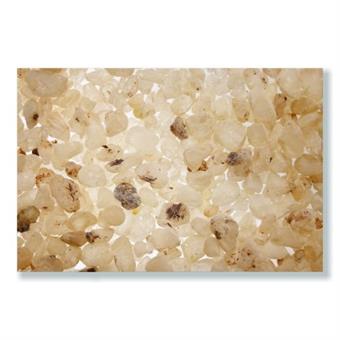Incense "Dammar" 